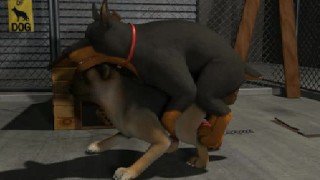 2 Dogs- Animated Yiff