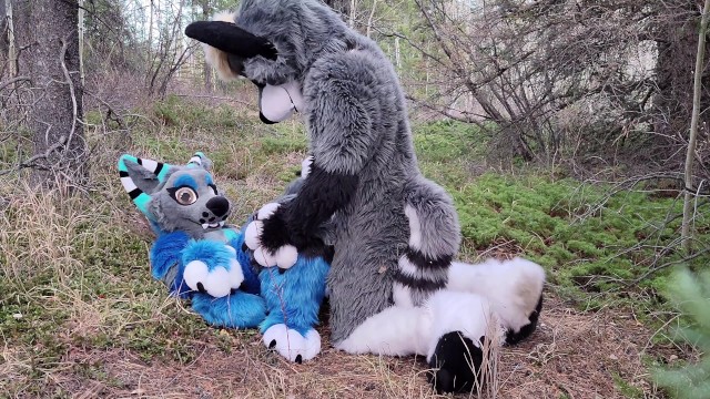 Horny Furries Fuck In The Wild