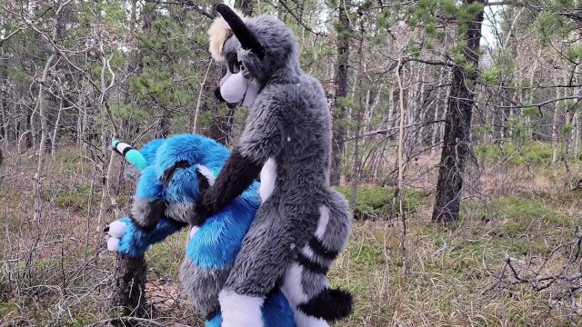 Horny Furries Fuck In The Wild